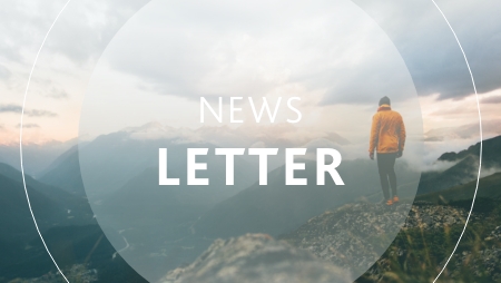 Newsletter Grau 448px